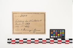 Etikett zu Bronzesitula (NHMW-PRAE-025513)